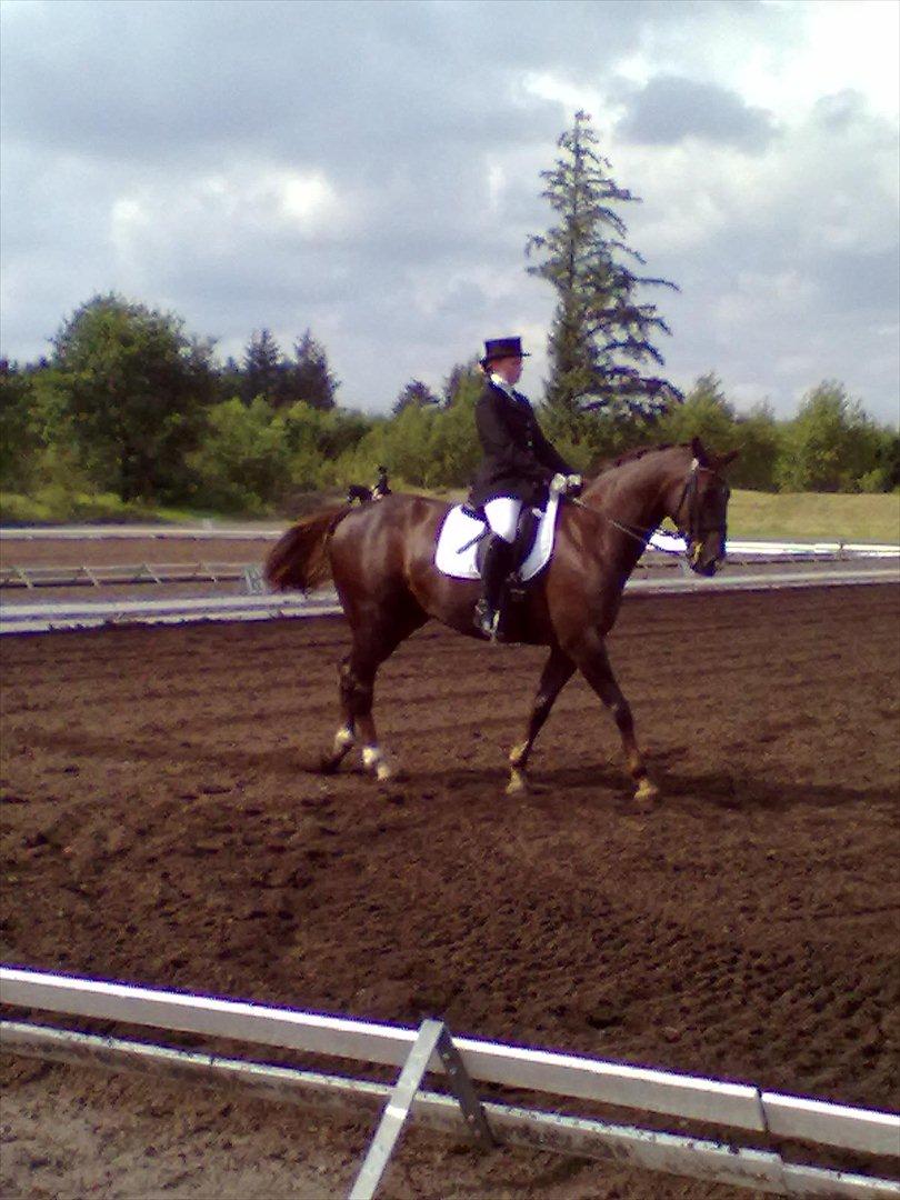 Distriktstævne på Billund sportsrideklub. billede 1