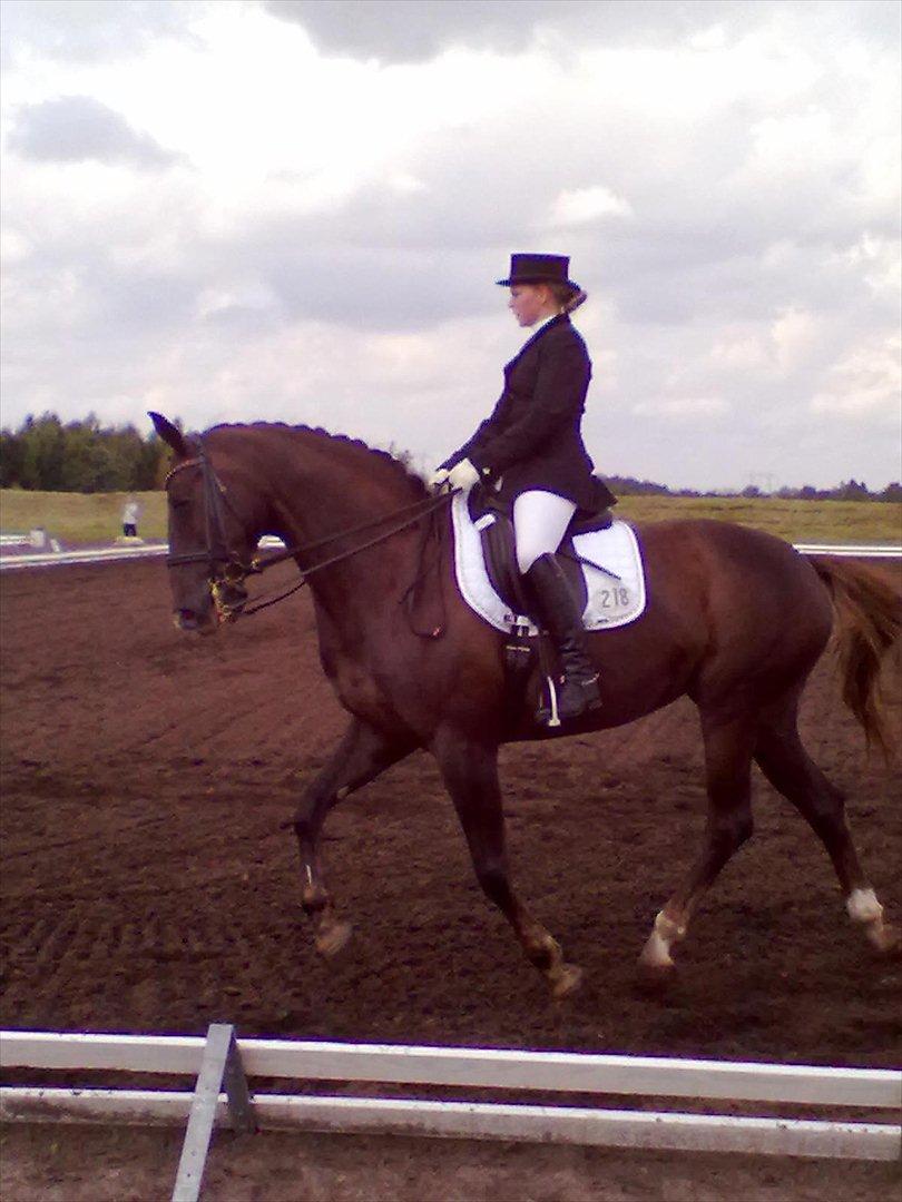 Distriktstævne på Billund sportsrideklub. billede 2