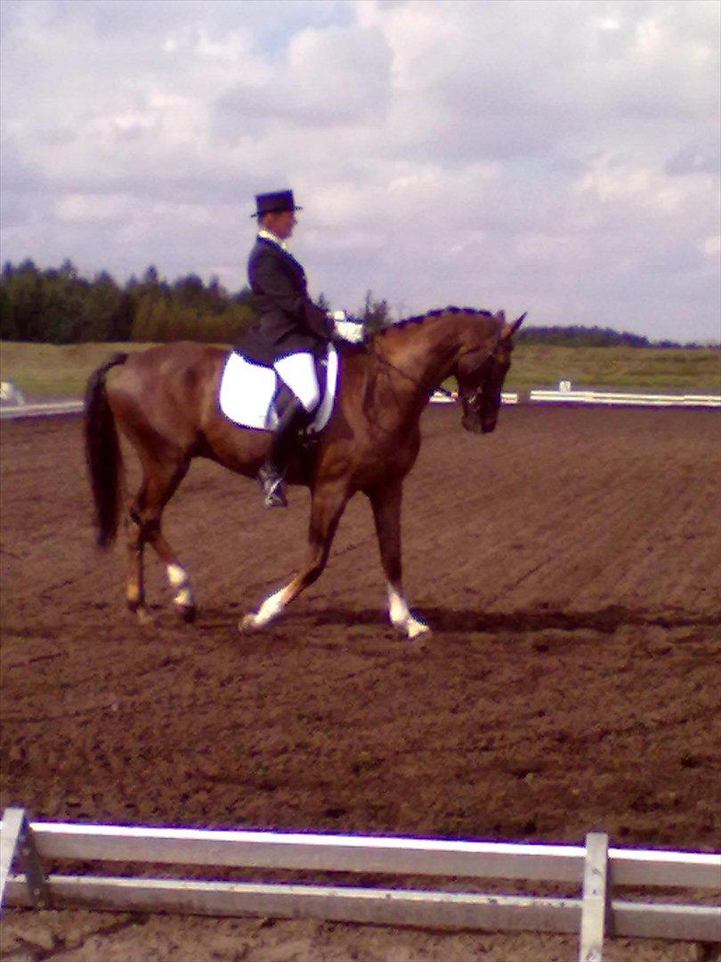 Distriktstævne på Billund sportsrideklub. billede 7