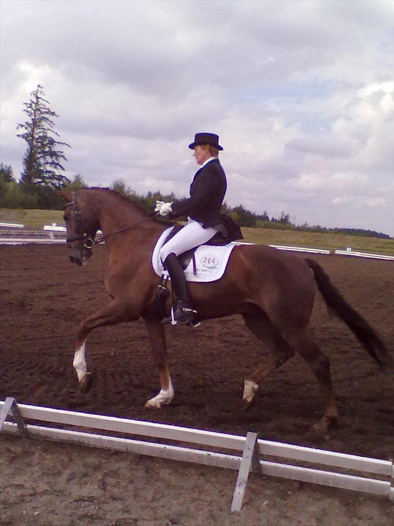 Distriktstævne på Billund sportsrideklub. billede 8