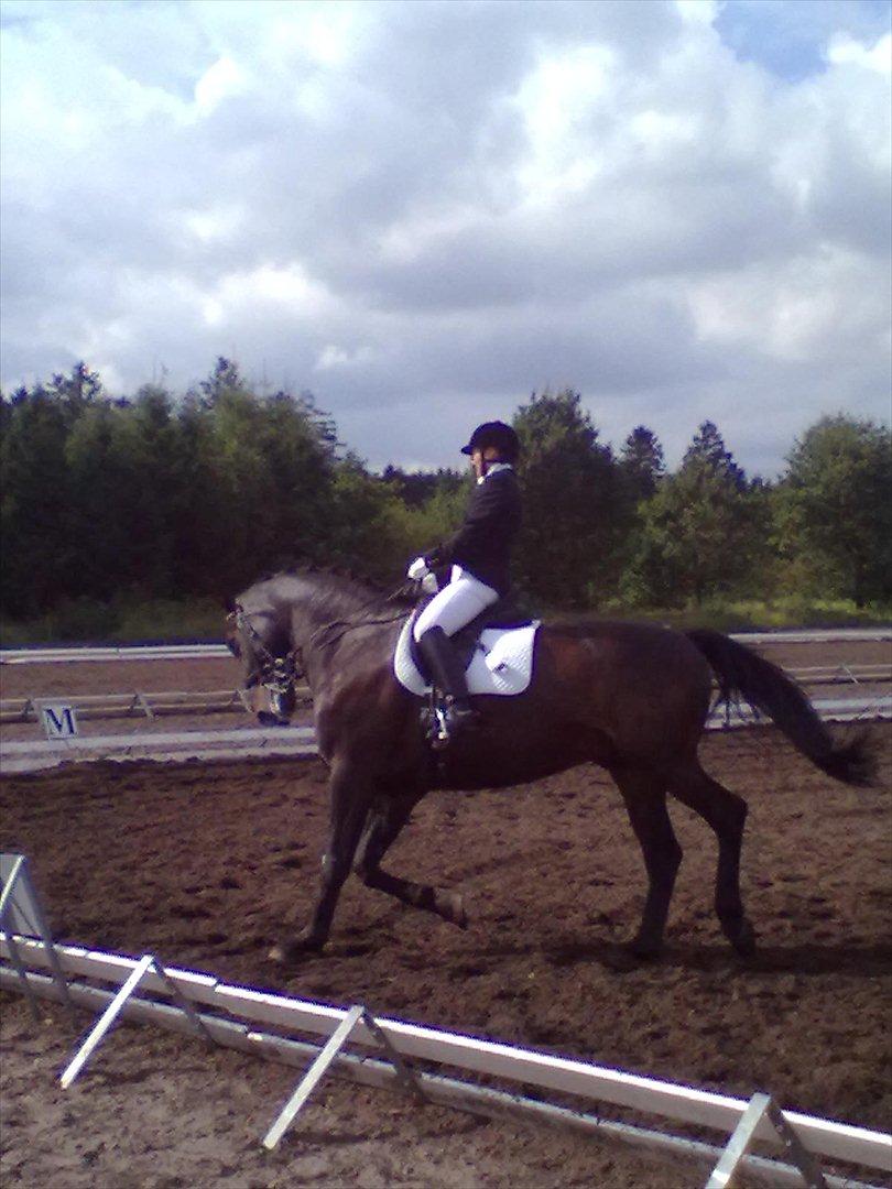 Distriktstævne på Billund sportsrideklub. billede 10