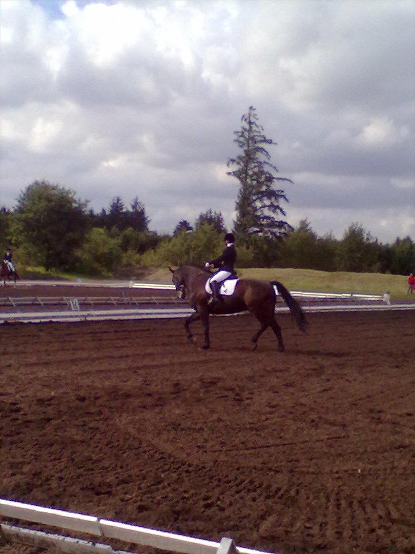 Distriktstævne på Billund sportsrideklub. billede 11