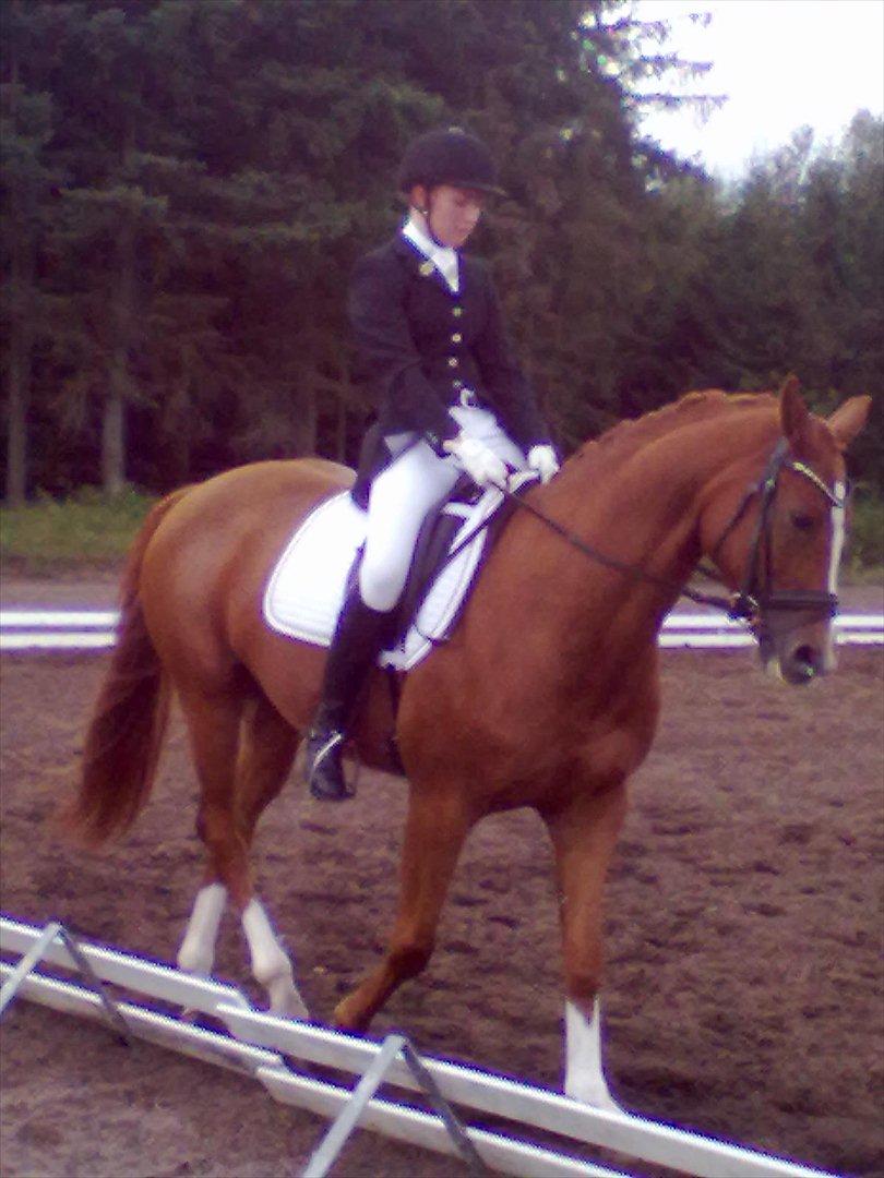 Distriktstævne på Billund sportsrideklub. billede 13