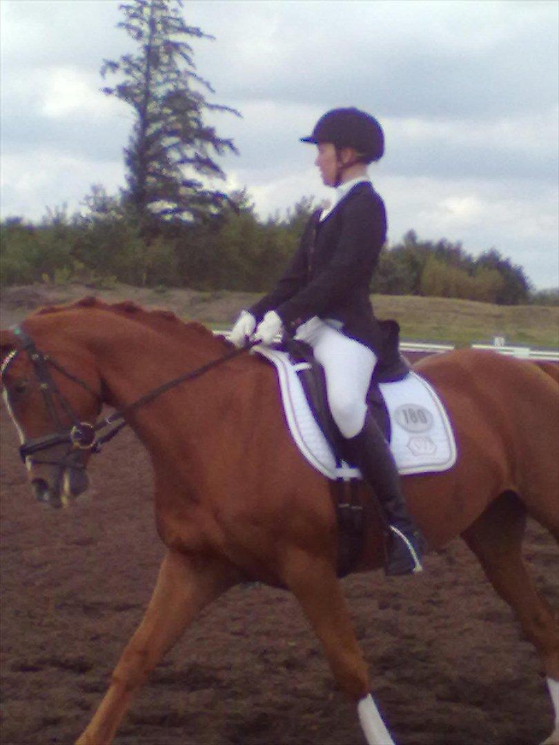 Distriktstævne på Billund sportsrideklub. billede 14