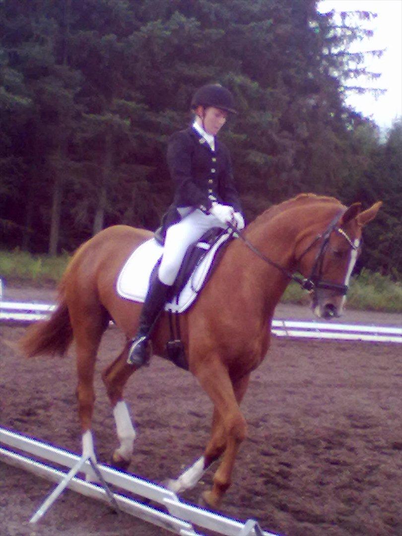 Distriktstævne på Billund sportsrideklub. billede 16