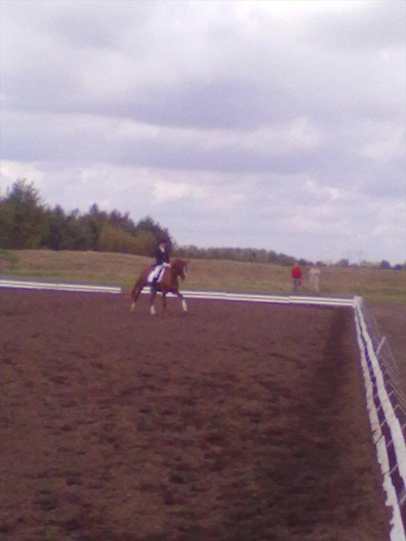 Distriktstævne på Billund sportsrideklub. billede 17