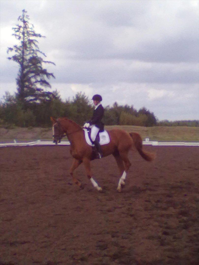 Distriktstævne på Billund sportsrideklub. billede 18