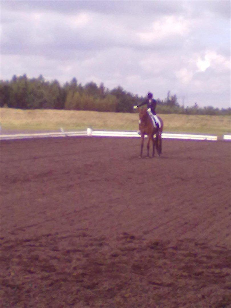 Distriktstævne på Billund sportsrideklub. billede 19