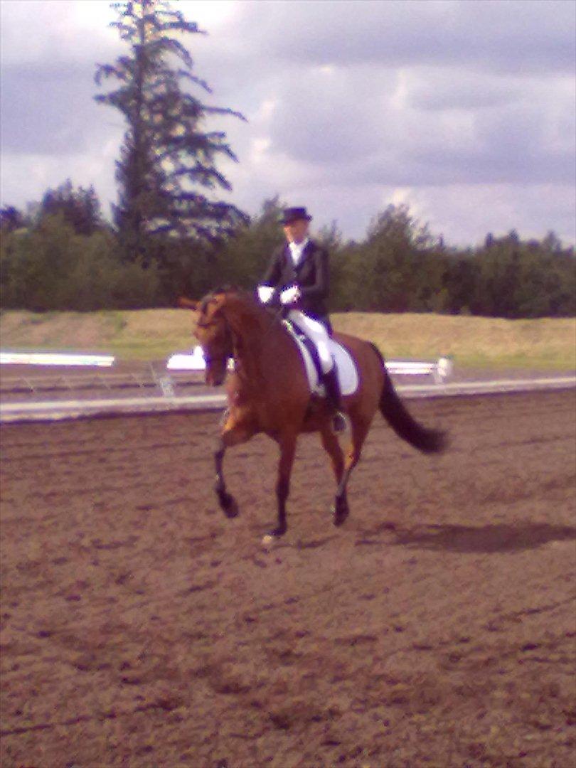 Distriktstævne på Billund sportsrideklub. billede 20