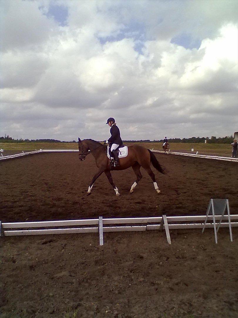 Distriktstævne på Billund sportsrideklub. billede 21