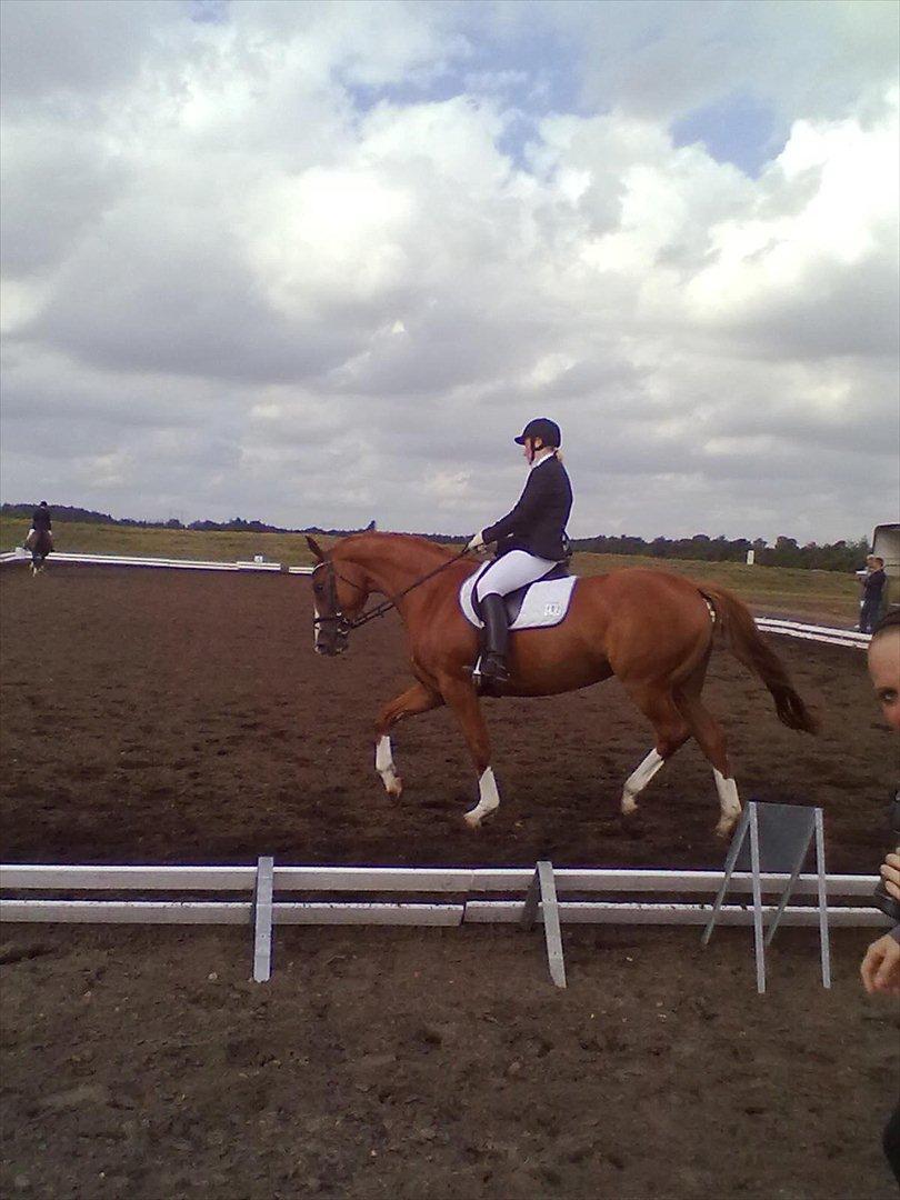 Distriktstævne på Billund sportsrideklub. billede 22
