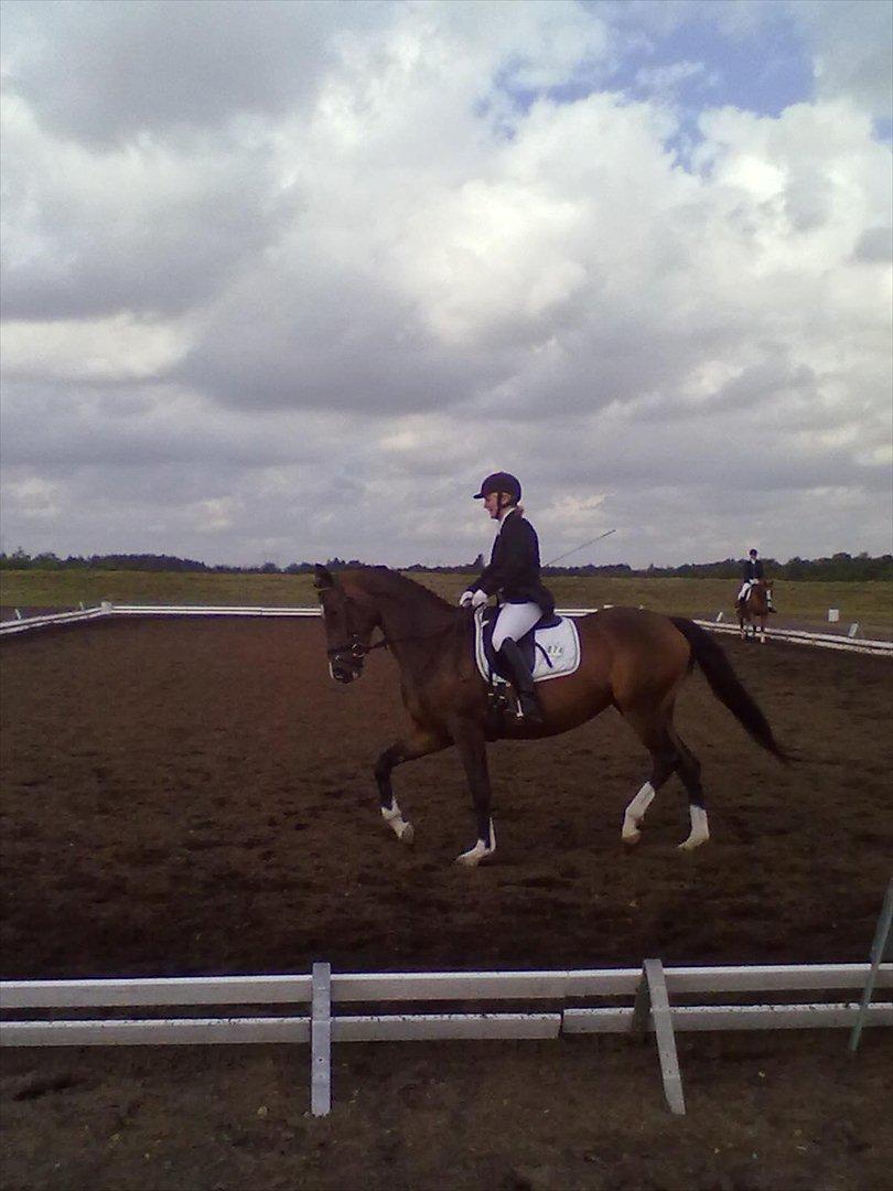 Distriktstævne på Billund sportsrideklub. billede 23