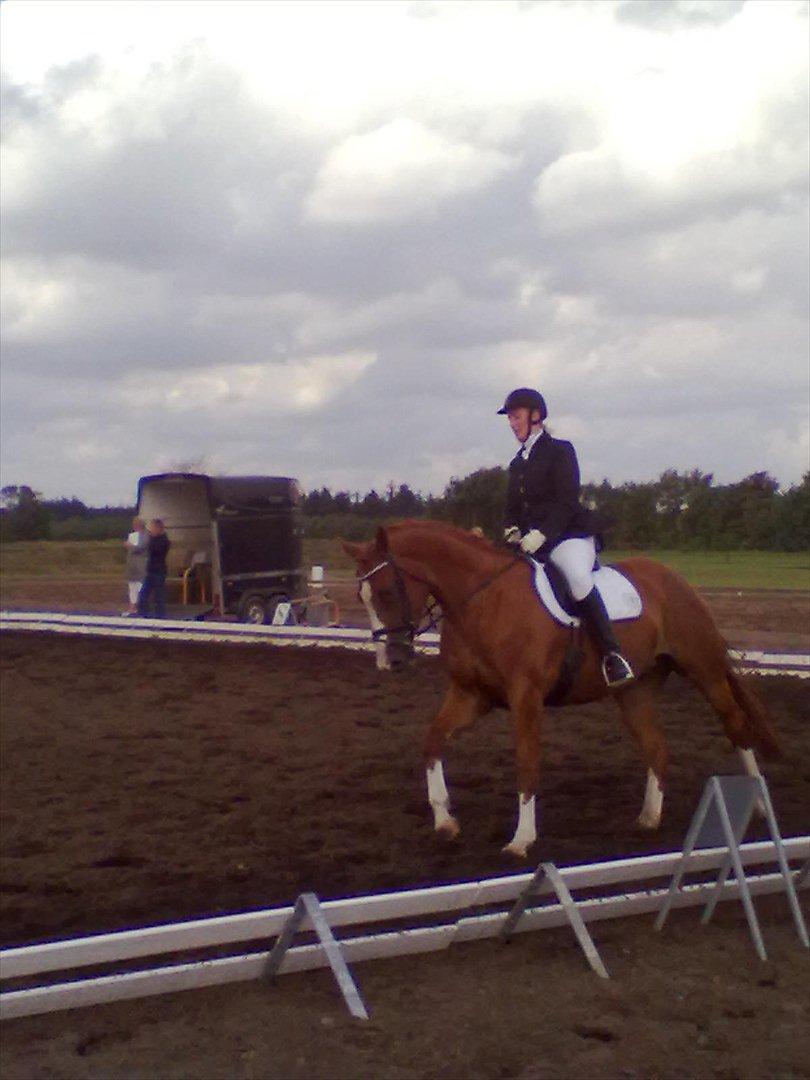 Distriktstævne på Billund sportsrideklub. billede 25