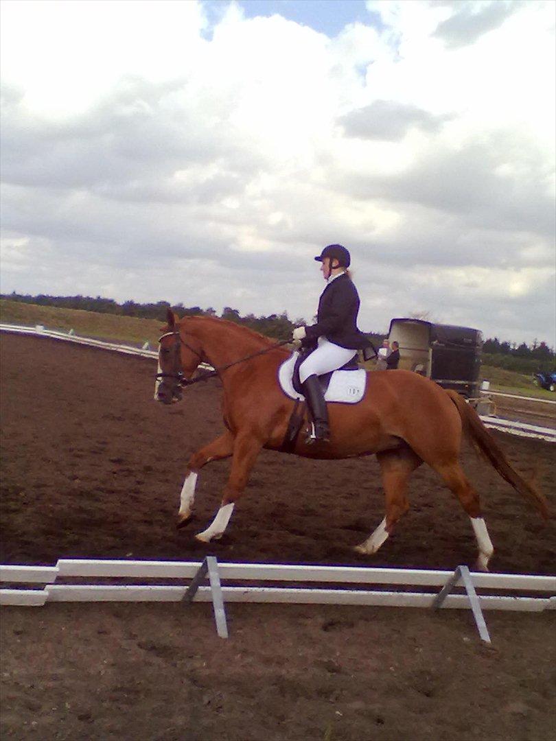 Distriktstævne på Billund sportsrideklub. billede 26