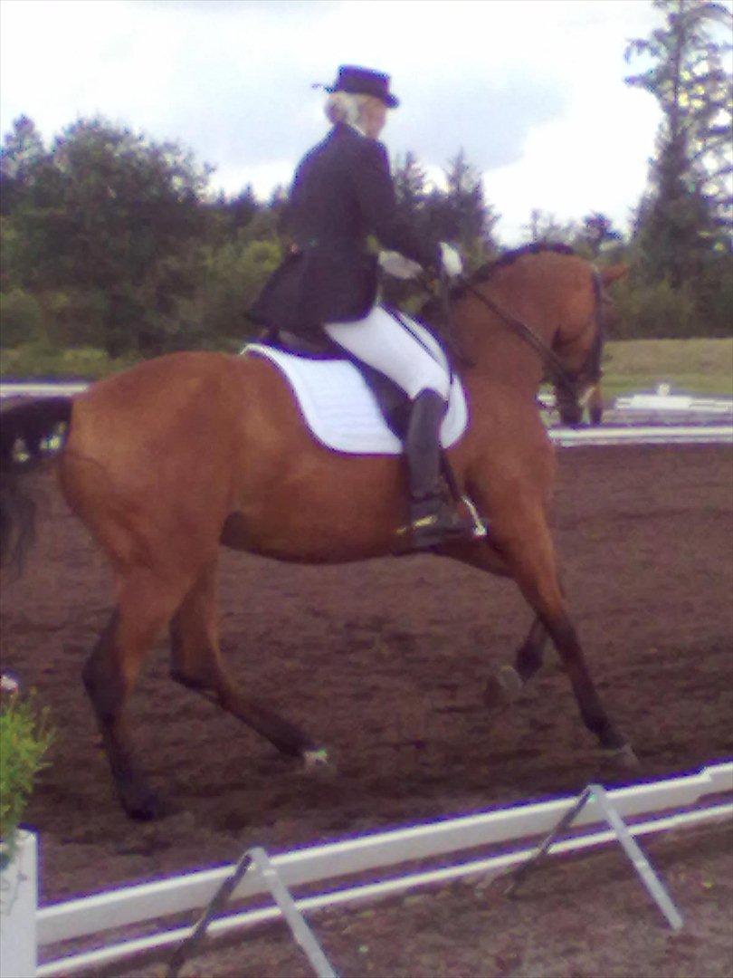 Distriktstævne på Billund sportsrideklub. billede 28