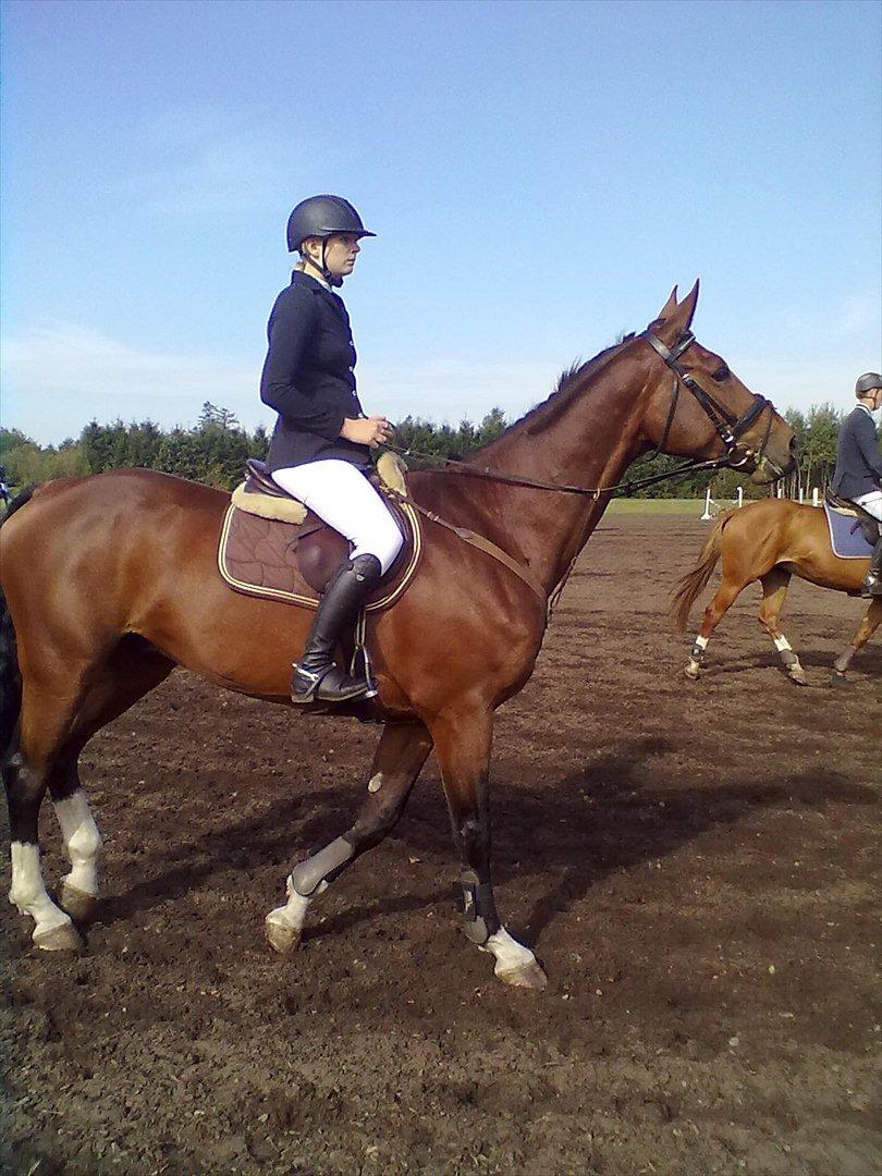 Distriktstævne på Billund sportsrideklub. billede 31
