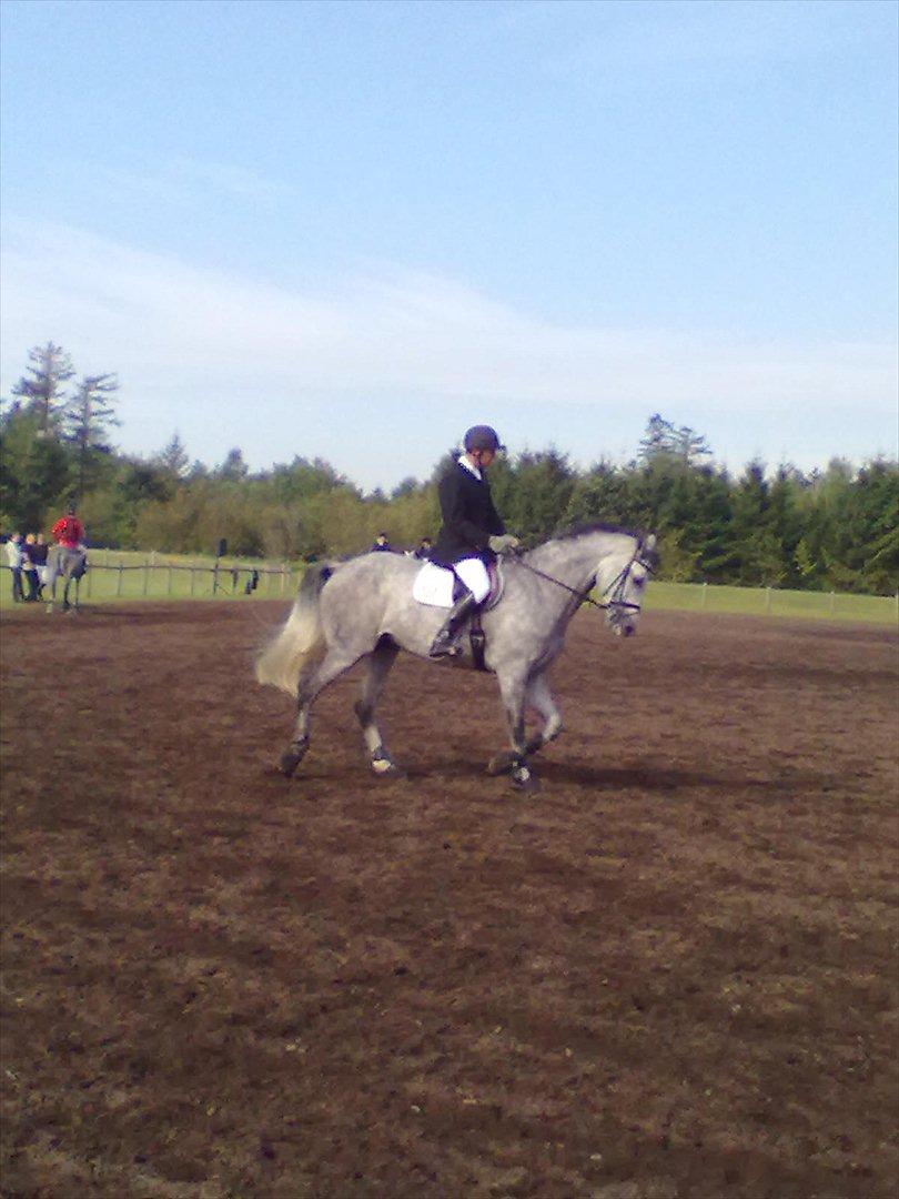 Distriktstævne på Billund sportsrideklub. billede 32