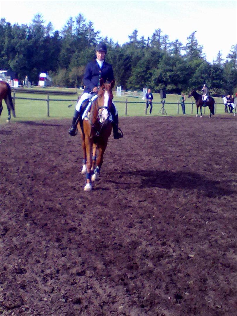 Distriktstævne på Billund sportsrideklub. billede 33