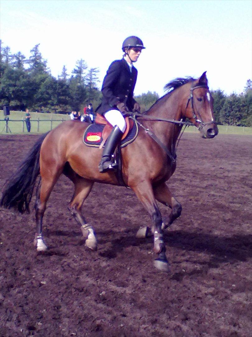 Distriktstævne på Billund sportsrideklub. billede 34