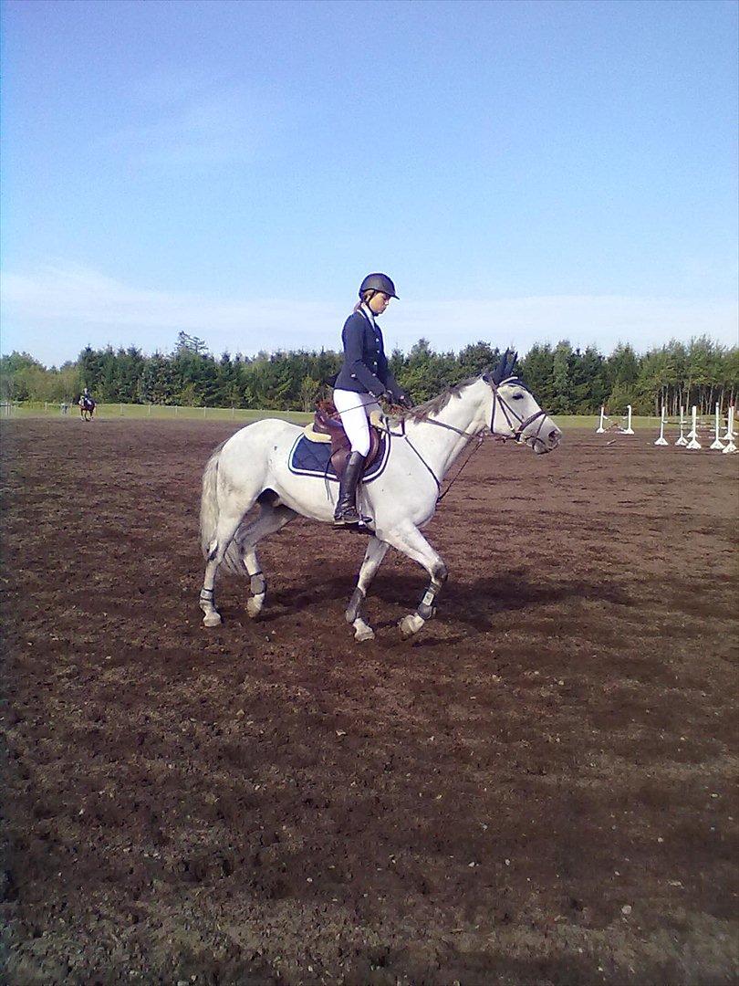 Distriktstævne på Billund sportsrideklub. billede 35