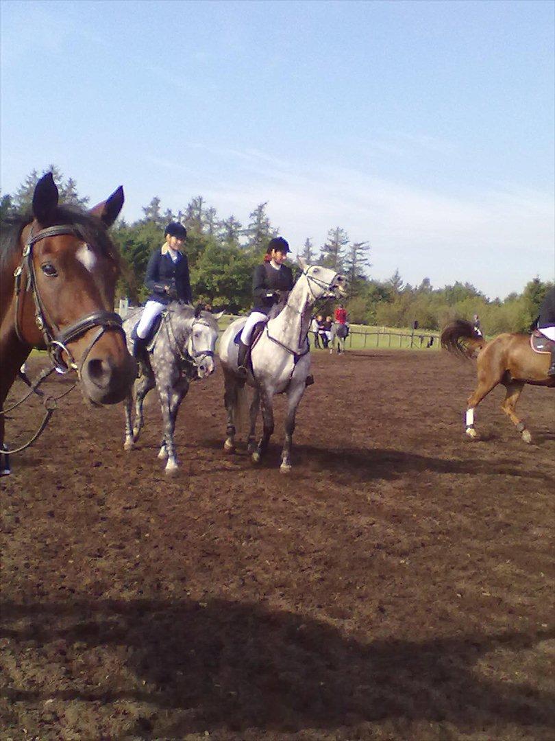 Distriktstævne på Billund sportsrideklub. billede 36