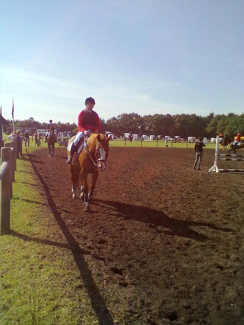 Distriktstævne på Billund sportsrideklub. billede 37