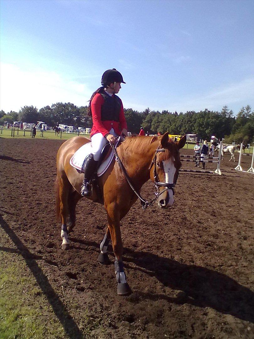 Distriktstævne på Billund sportsrideklub. billede 38