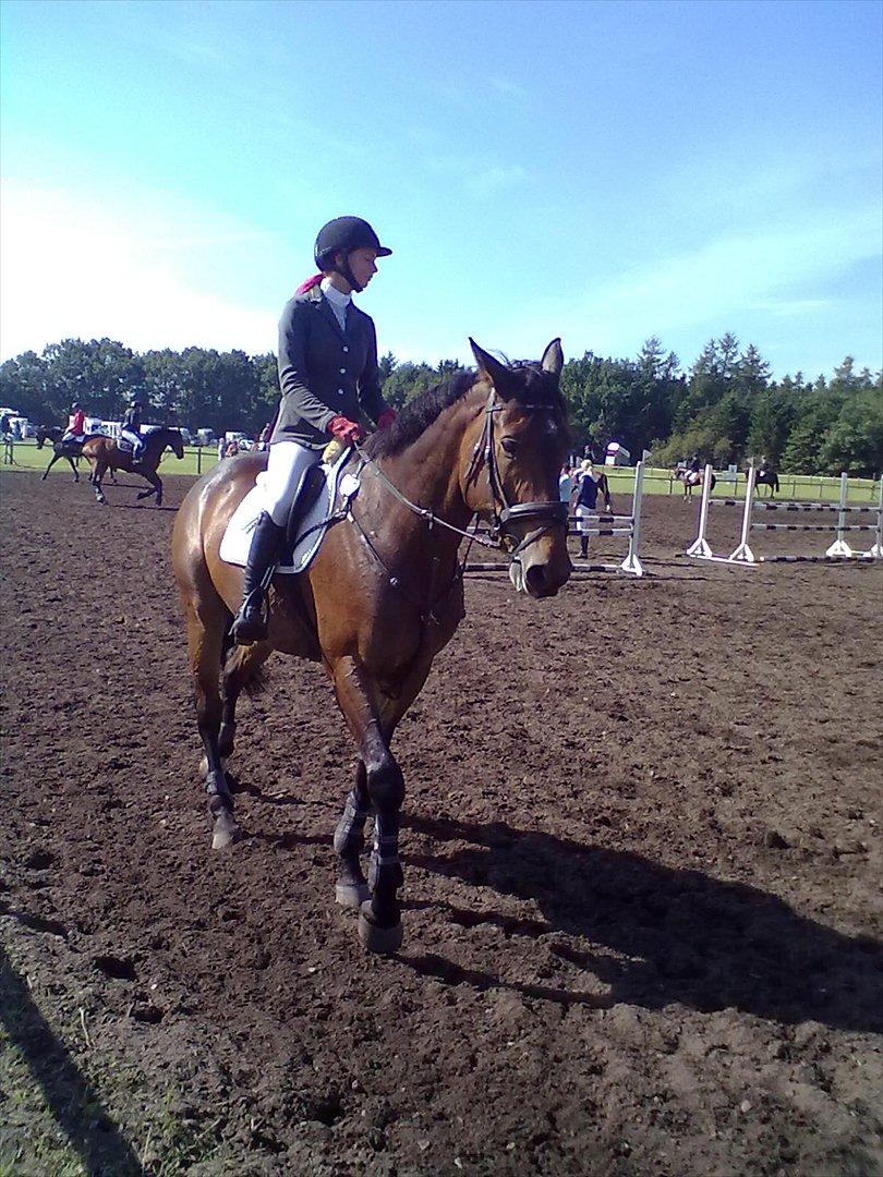 Distriktstævne på Billund sportsrideklub. billede 39