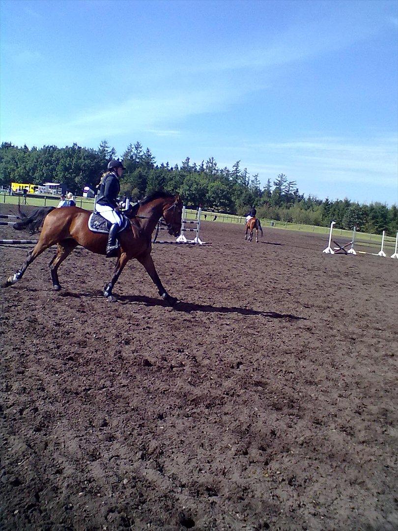 Distriktstævne på Billund sportsrideklub. billede 40
