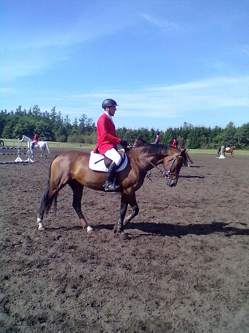 Distriktstævne på Billund sportsrideklub. billede 41
