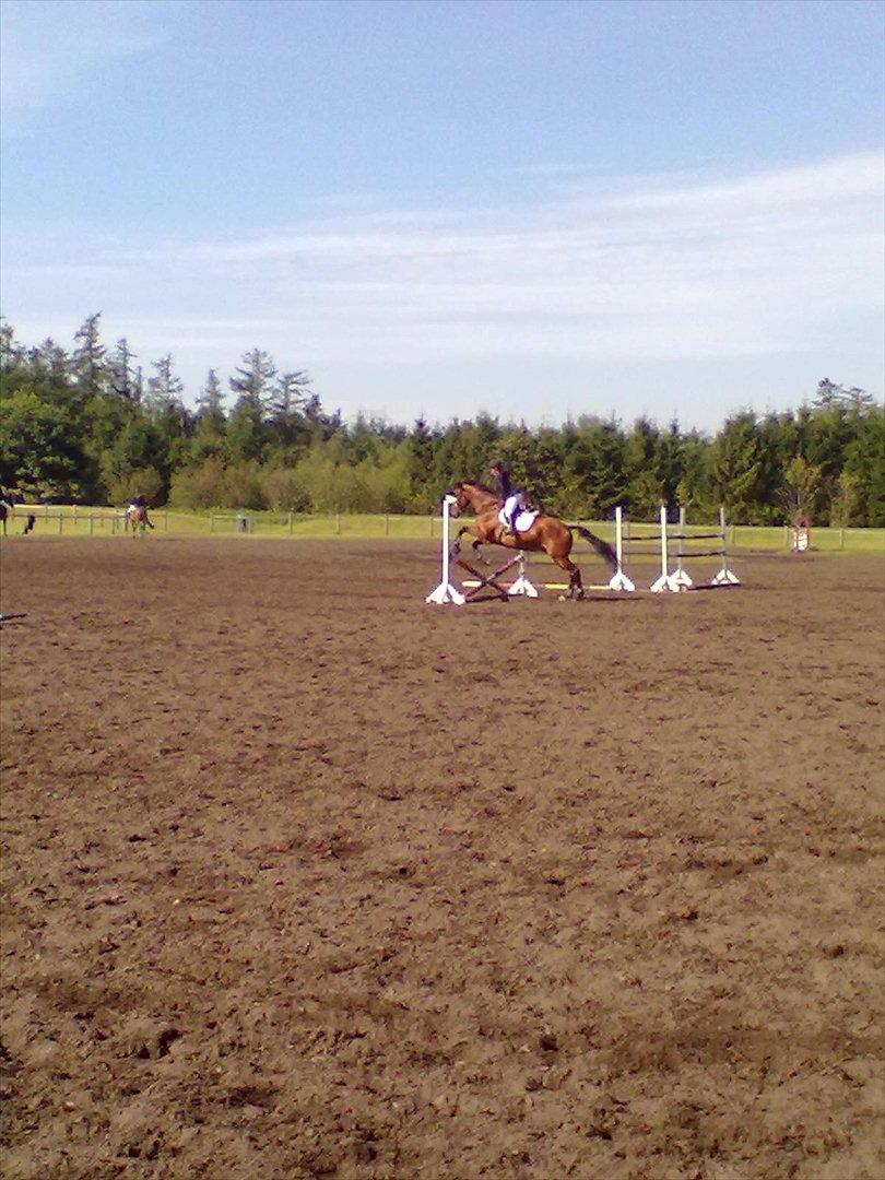 Distriktstævne på Billund sportsrideklub. billede 42