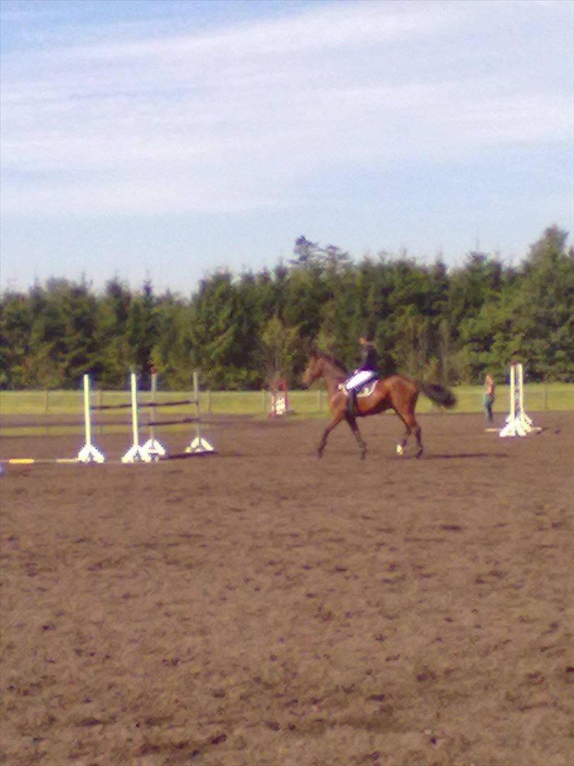 Distriktstævne på Billund sportsrideklub. billede 43