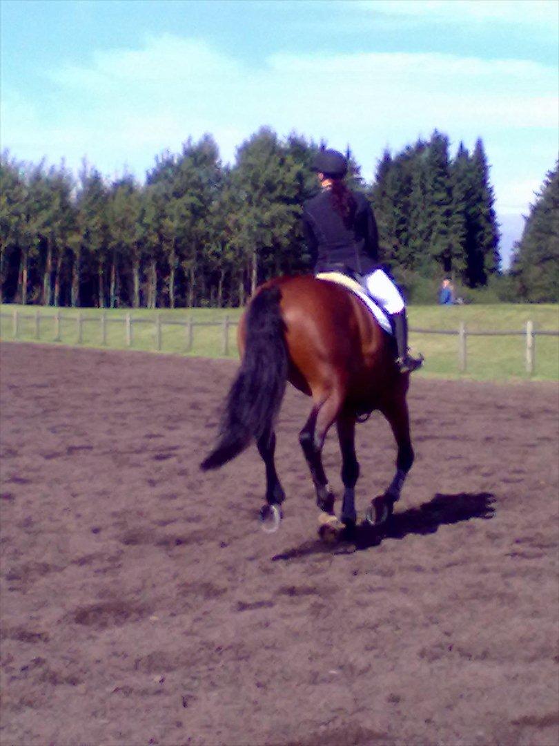 Distriktstævne på Billund sportsrideklub. billede 44