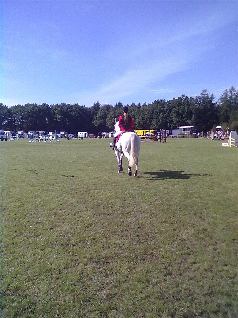 Distriktstævne på Billund sportsrideklub. billede 45
