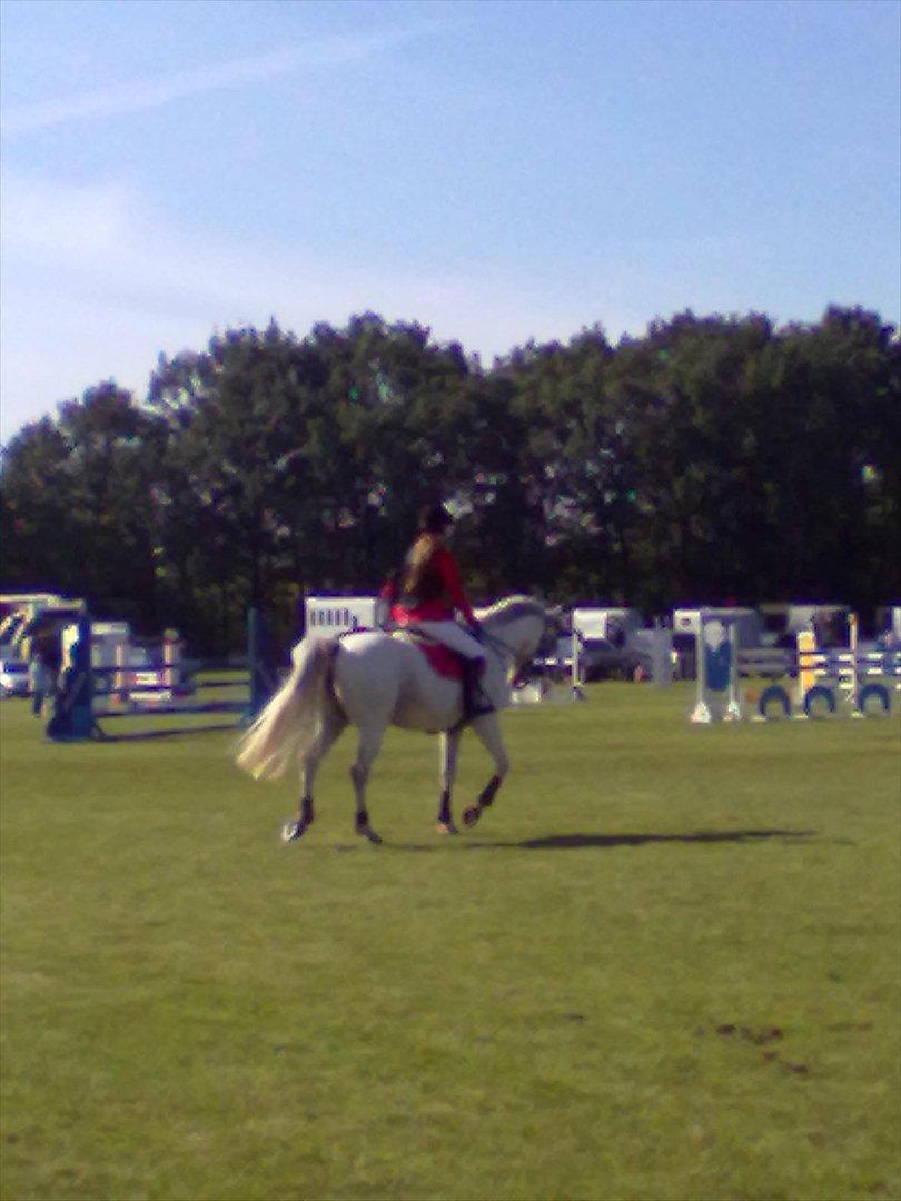 Distriktstævne på Billund sportsrideklub. billede 46