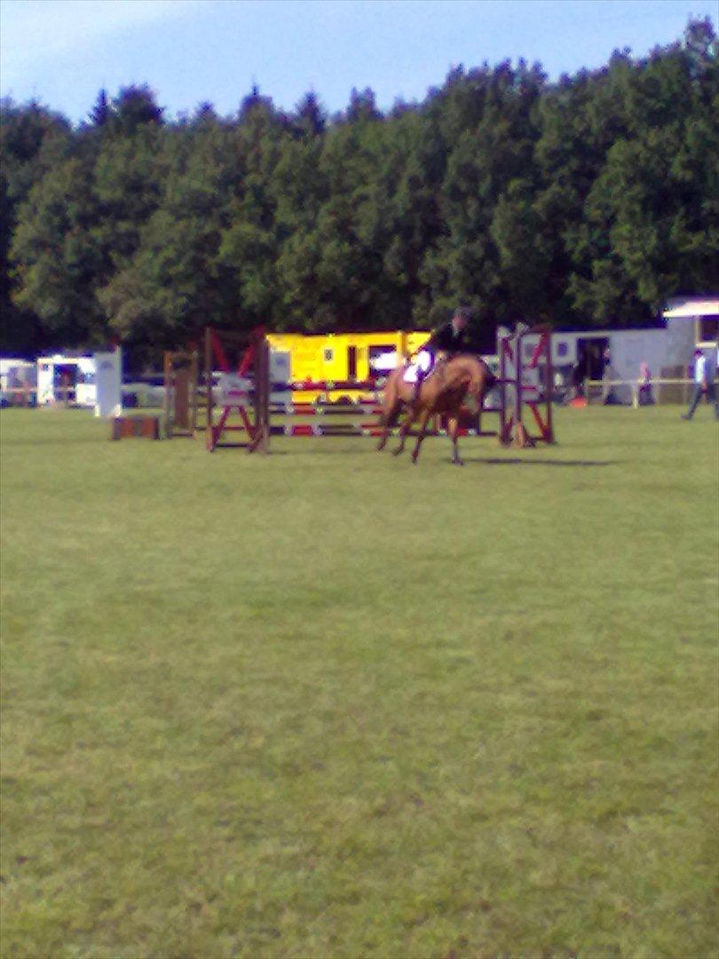 Distriktstævne på Billund sportsrideklub. billede 47
