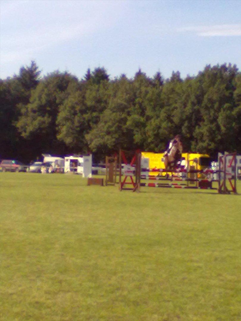 Distriktstævne på Billund sportsrideklub. billede 49