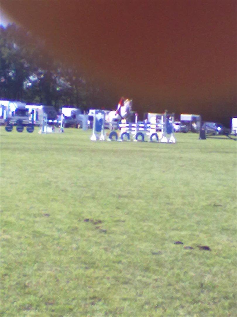 Distriktstævne på Billund sportsrideklub. billede 50