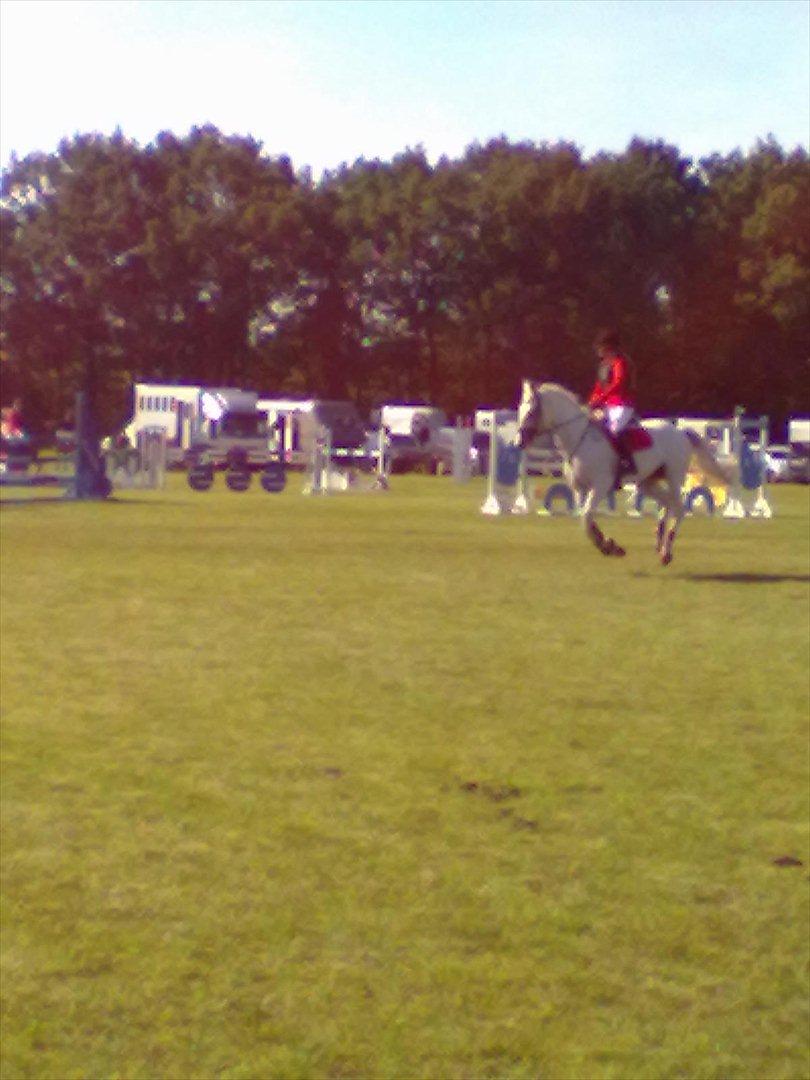 Distriktstævne på Billund sportsrideklub. billede 51