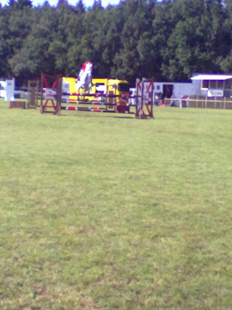 Distriktstævne på Billund sportsrideklub. billede 53