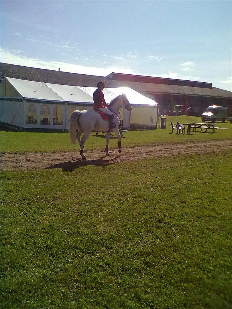 Distriktstævne på Billund sportsrideklub. billede 55