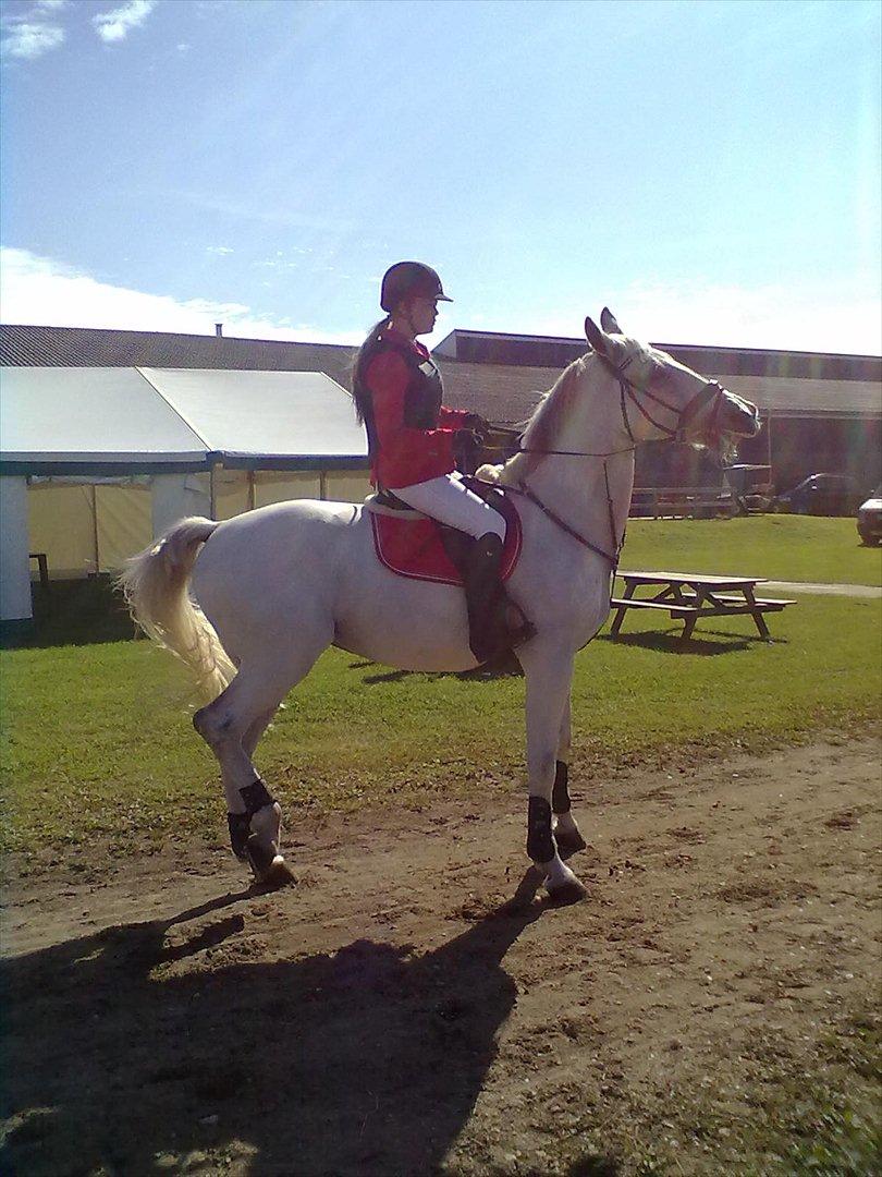 Distriktstævne på Billund sportsrideklub. billede 56