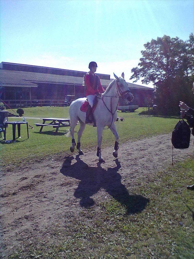 Distriktstævne på Billund sportsrideklub. billede 57