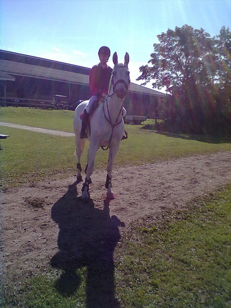 Distriktstævne på Billund sportsrideklub. billede 58