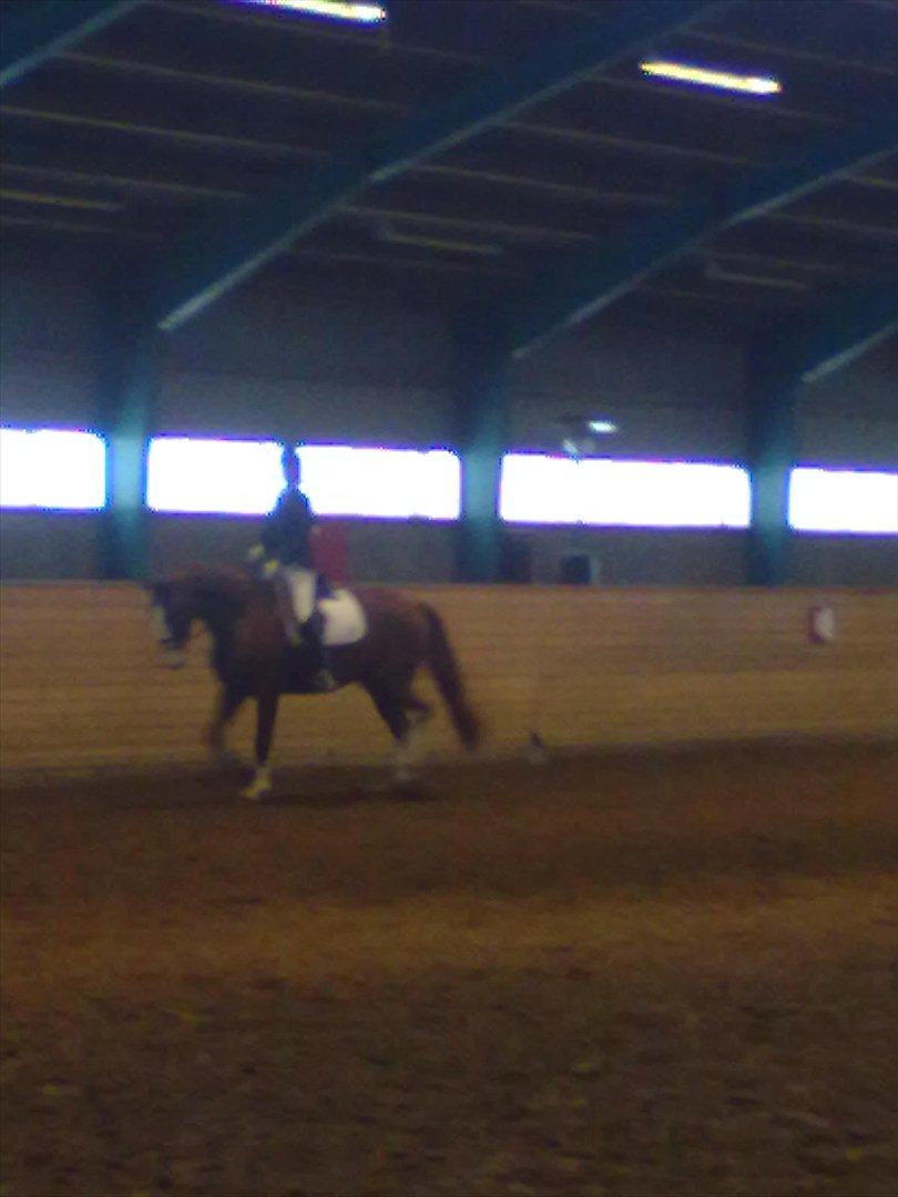 Distriktstævne på Billund sportsrideklub. billede 62