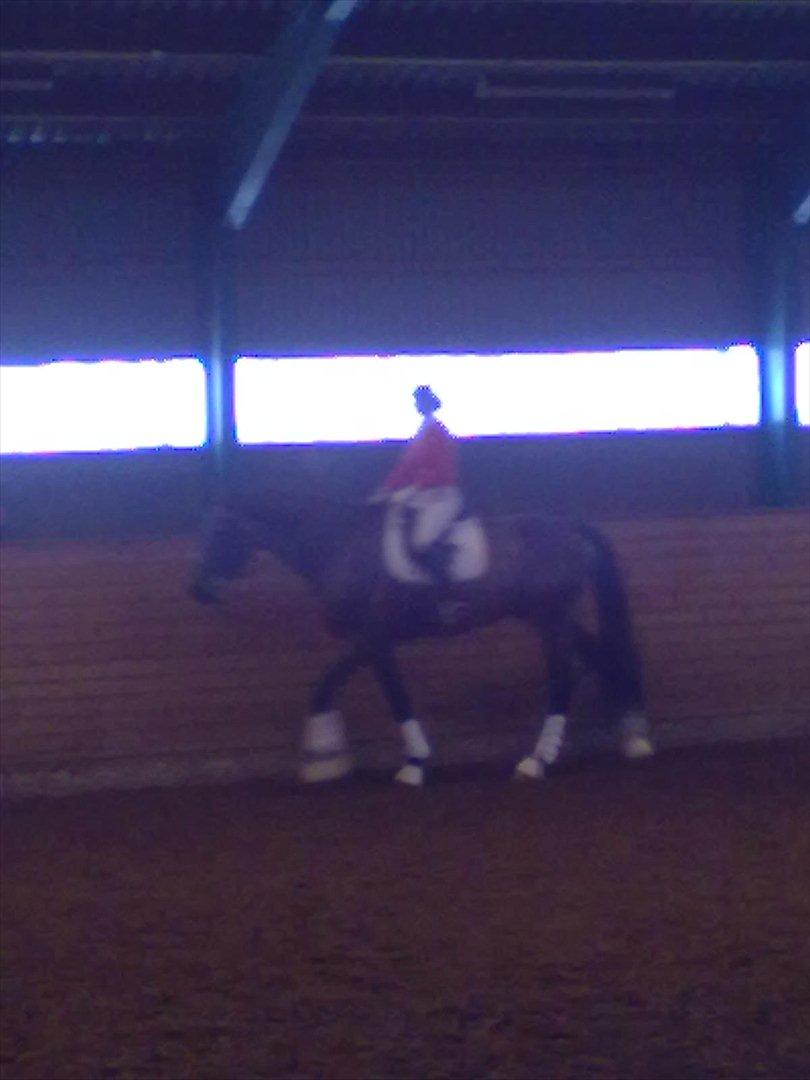 Distriktstævne på Billund sportsrideklub. billede 64