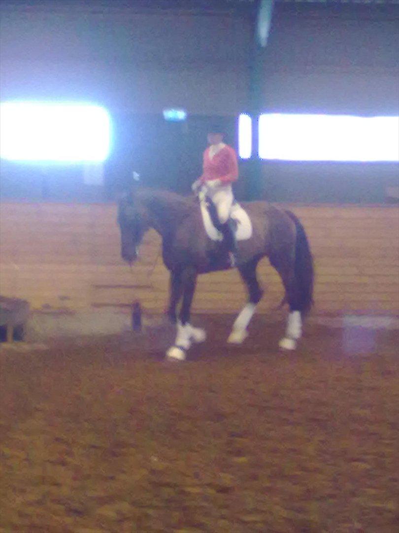 Distriktstævne på Billund sportsrideklub. billede 65