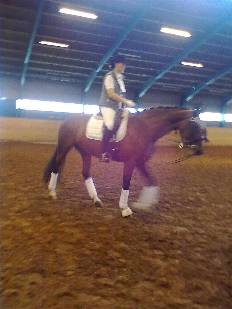 Distriktstævne på Billund sportsrideklub. billede 69