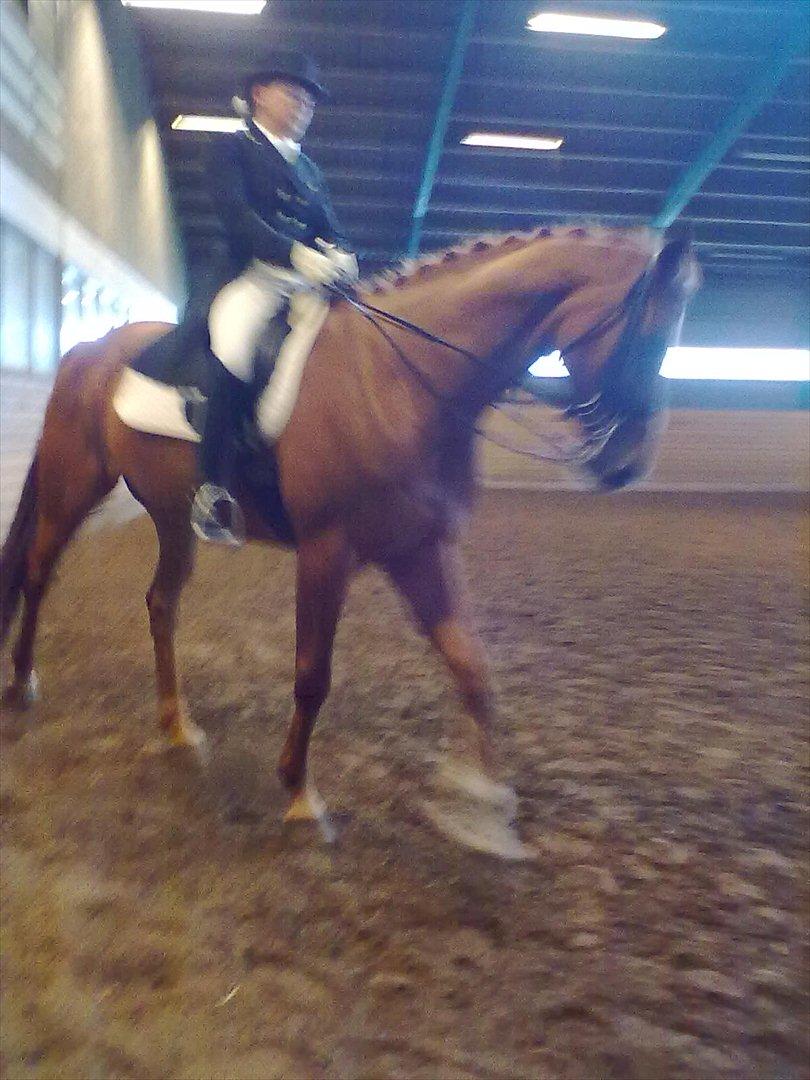 Distriktstævne på Billund sportsrideklub. billede 70