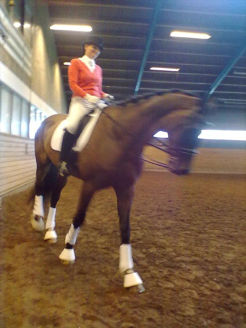 Distriktstævne på Billund sportsrideklub. billede 71